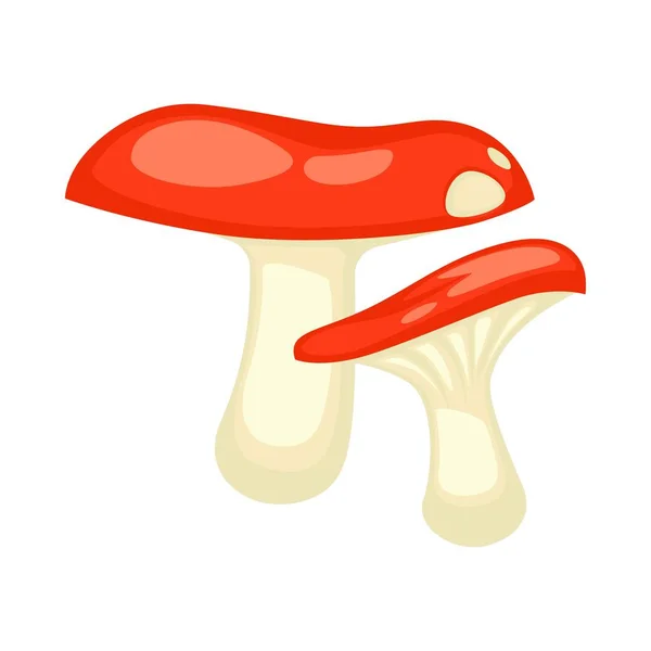 赤い帽子と白い脚と 2 つの russules のセット — ストックベクタ