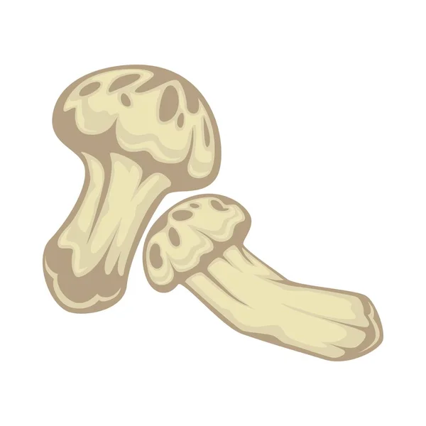 白色背景上的松茸菌食用蘑菇 isollated — 图库矢量图片