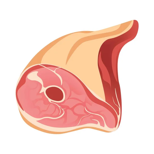 Um pedaço de carne no osso — Vetor de Stock