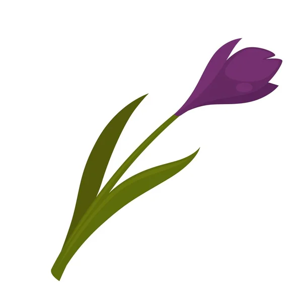 Jolie fleur pourpre fleurie — Image vectorielle