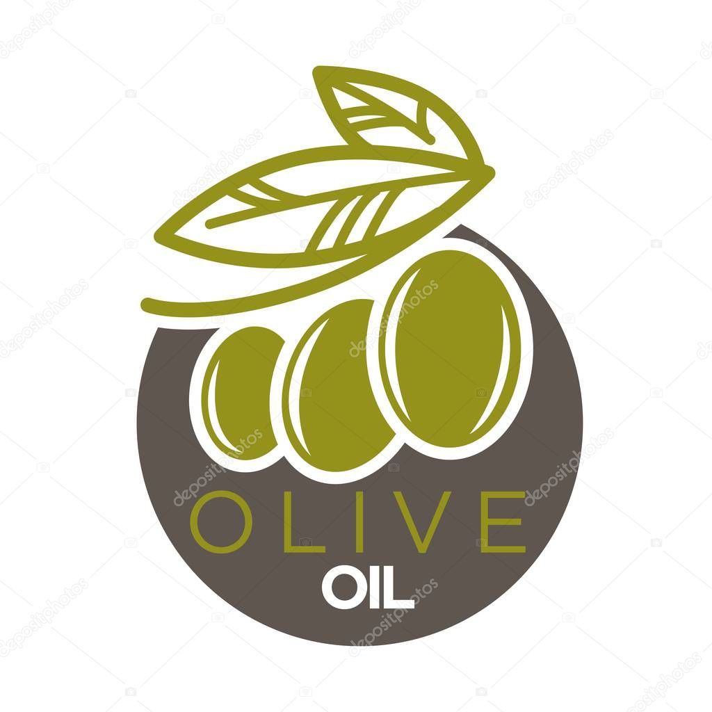 Olive oil logo design vector illustration of company label with green olives berries with leaves. Healthy condiment template with colorful sticker of extra virgin vegetables flat logotype on white.