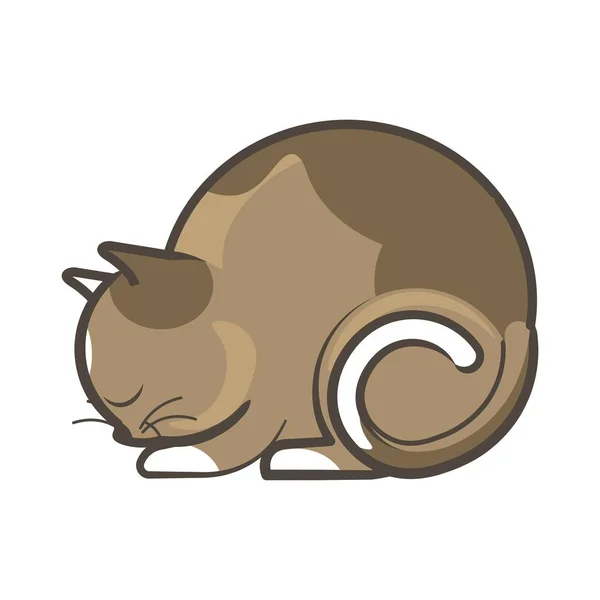Braune Katze schläft — Stockvektor