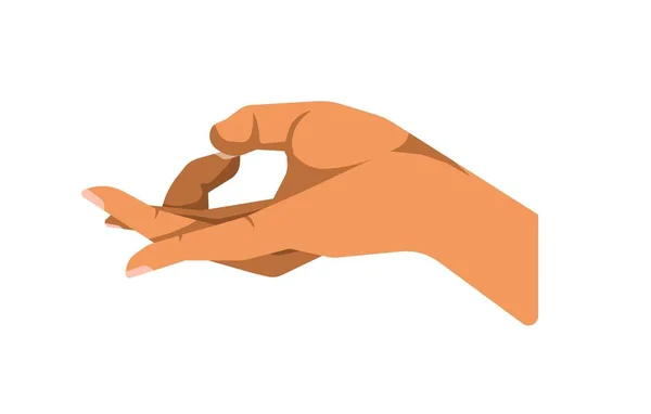 Hand showing OK gesture — Stock Vector