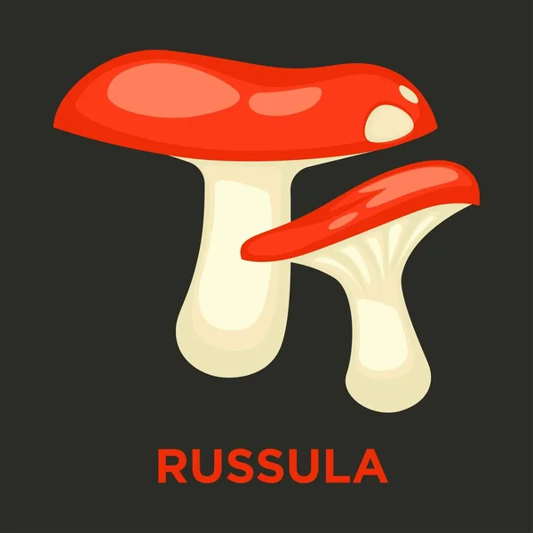 Russula 식용 버섯 고립 된 평면 벡터 아이콘 — 스톡 벡터