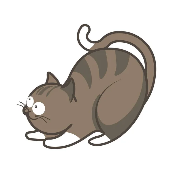 Cartoon playful kitten going to jump vector illustration isolated. — Stock Vector