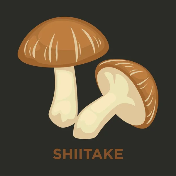 Shiitake edible mushroom isolated flat vector icon — Stock Vector