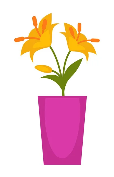 Flores amarelas em vaso de flores violeta isolado no branco — Vetor de Stock
