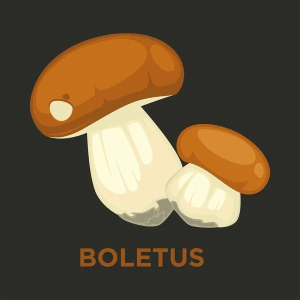 Boletus cep 또는 porcini 식용 버섯 고립 된 평면 벡터 아이콘 — 스톡 벡터