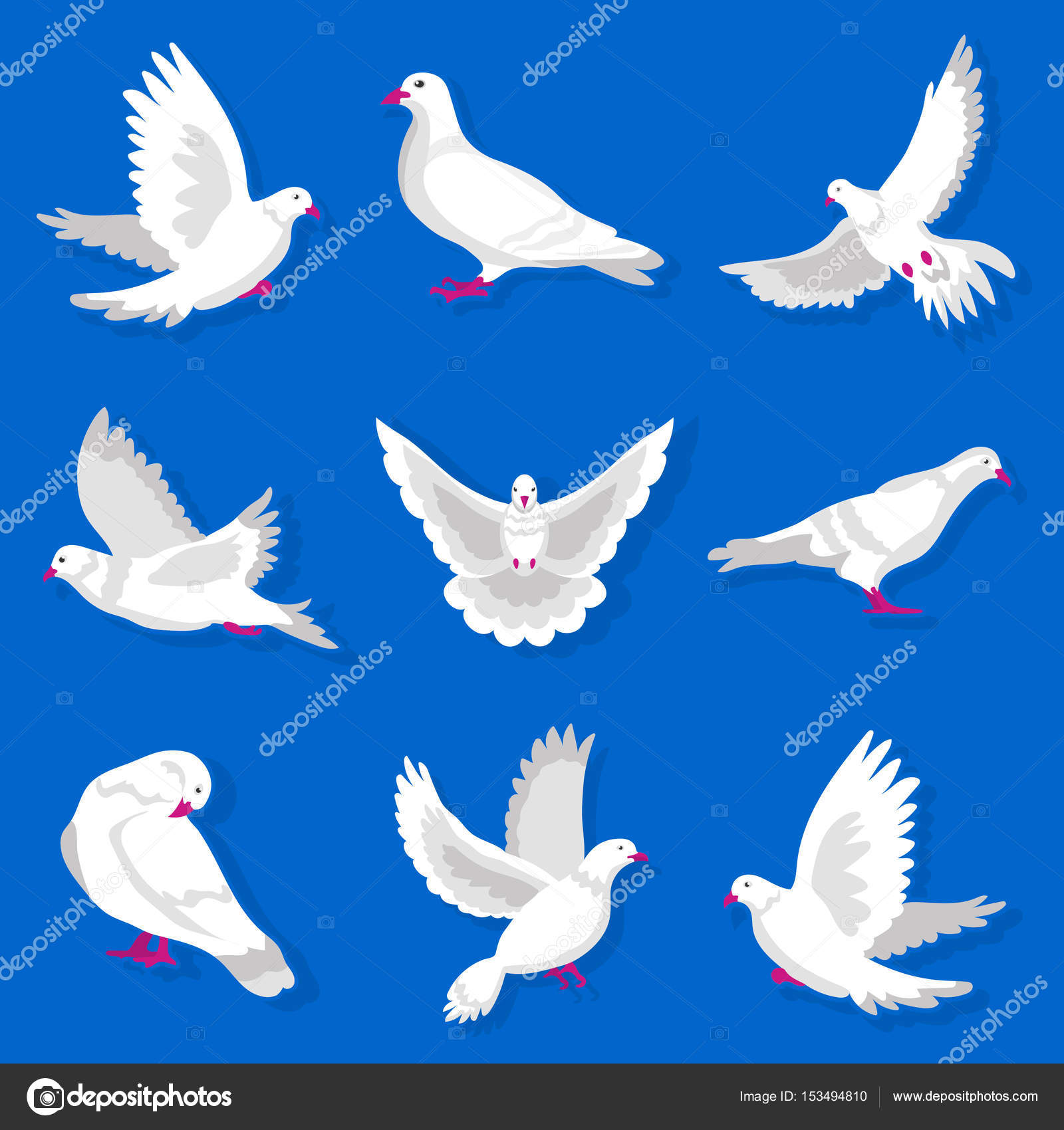 White cartoon pigeon set — Stock Vector © Sonulkaster #153494810