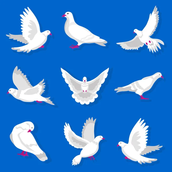 White cartoon pigeon set — Stock Vector