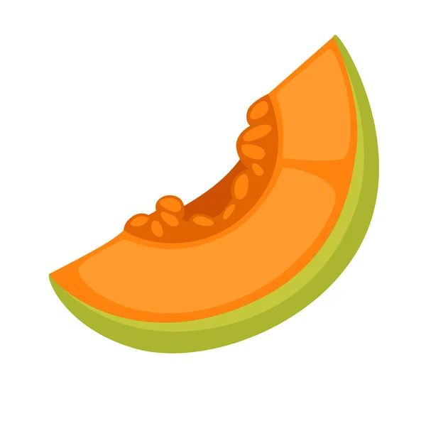 Skiva färsk melon — Stock vektor