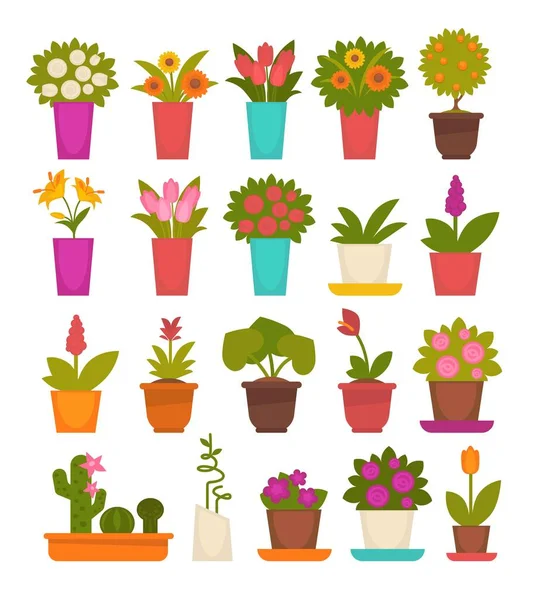 Sortimento de flores diferentes —  Vetores de Stock