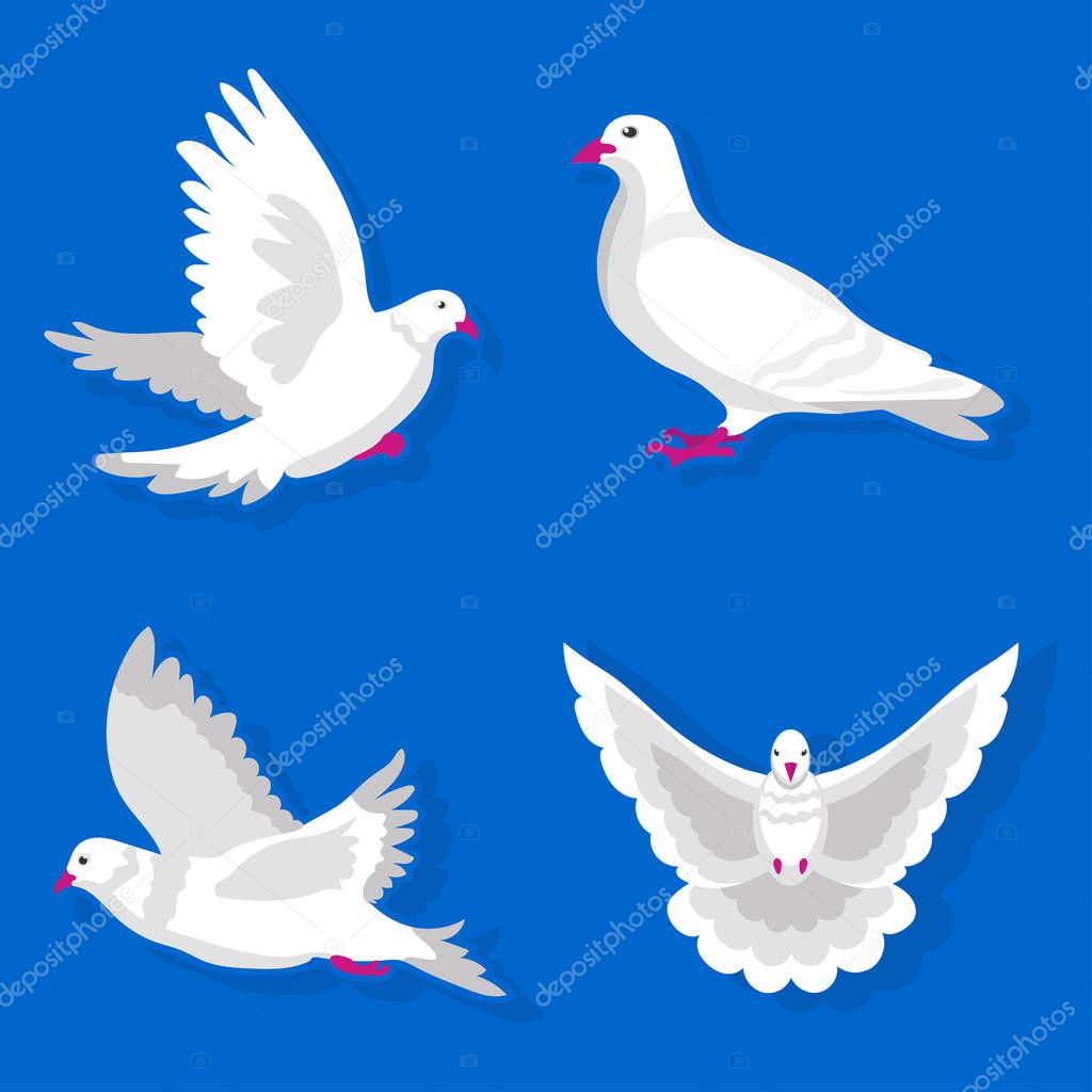 white dove icons