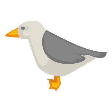 Martı grafik illüstrasyon