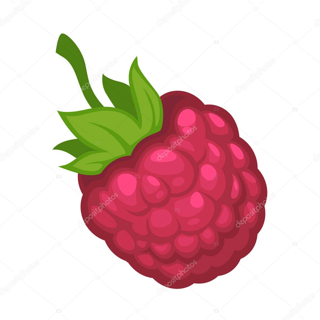 Sweet ripe raspberry fruit