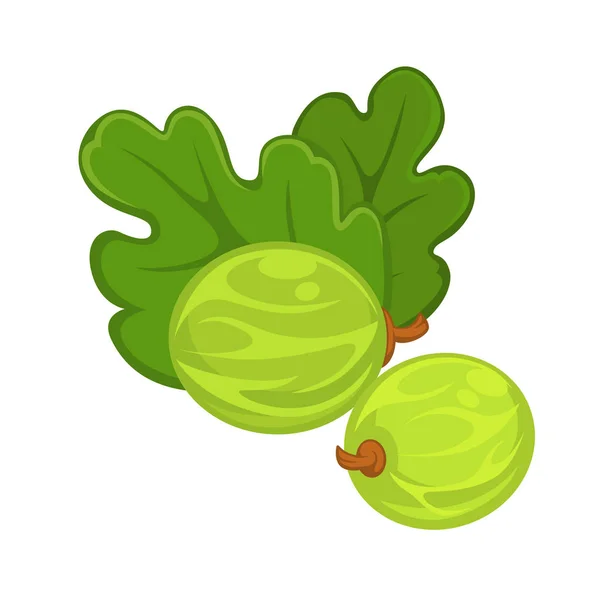 Deux groseilles à maquereau vertes aux feuilles isolées sur blanc — Image vectorielle