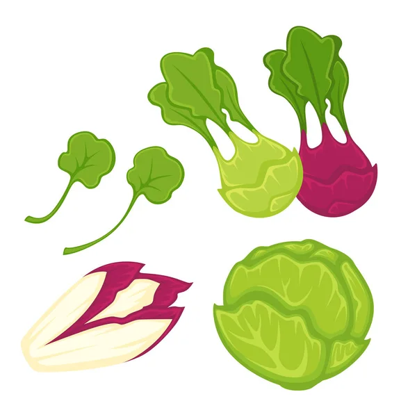 Verduras y verduras saludables — Archivo Imágenes Vectoriales