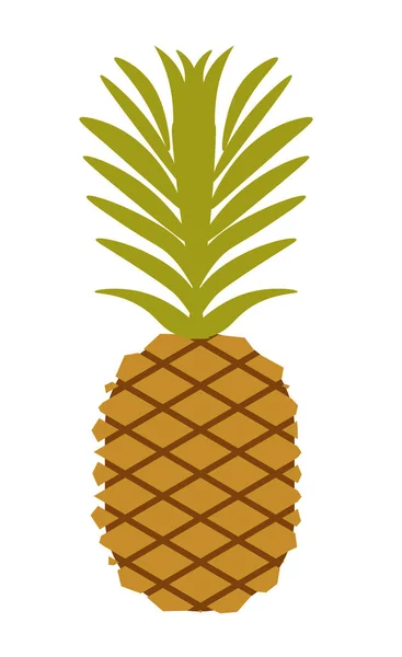 Whole pineapple fruit — Stock Vector