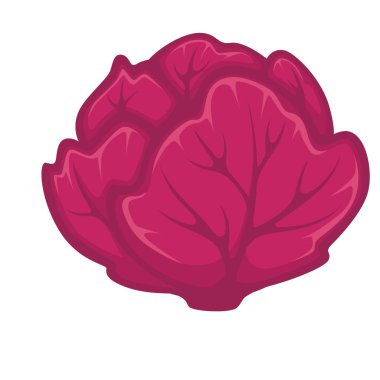 kırmızı taze lahana kafa 