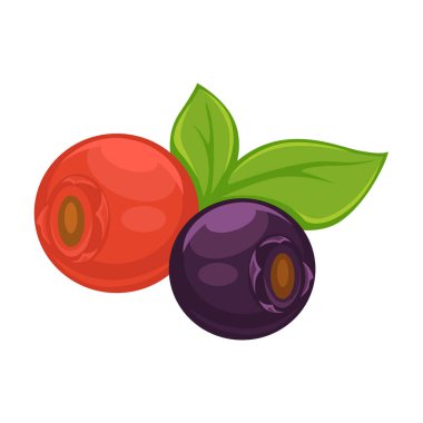 Vahşi köpek-gül yaprakları ile