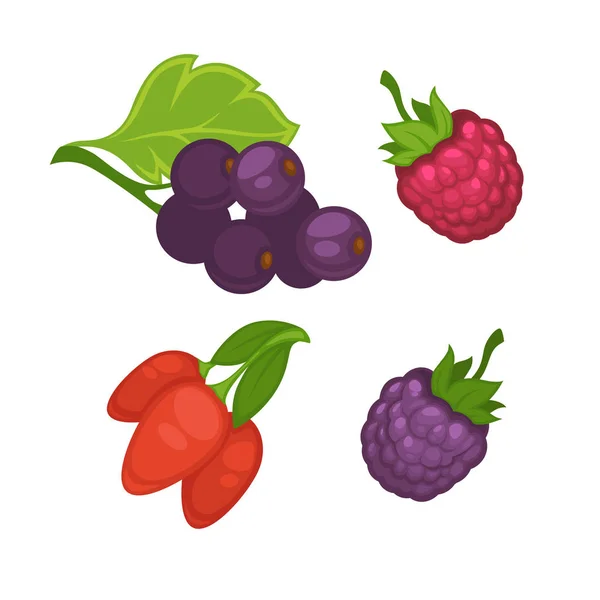 Свежие ягоды — стоковый вектор