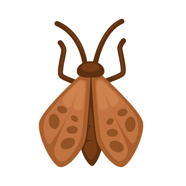 Braune Motte mit Flecken auf den Flügeln — Stockvektor