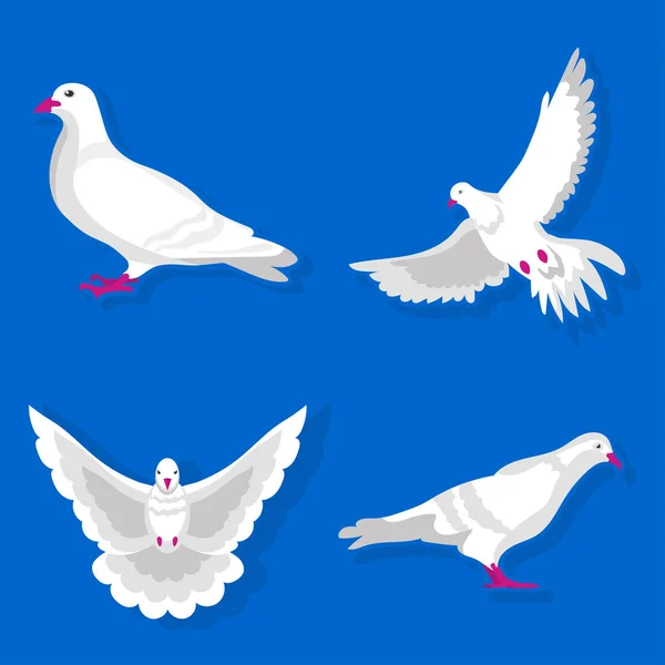 Грациозный белый голубь — стоковый вектор