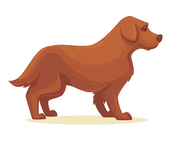 Illustratie van cartoon hond — Stockvector