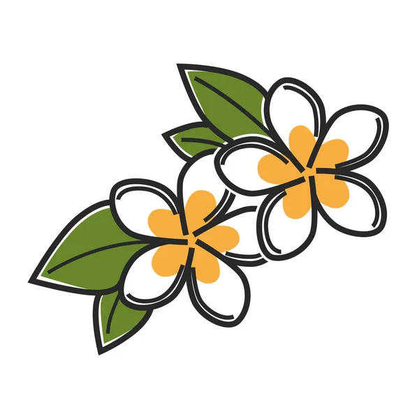 Aromatik vanilya çiçekler — Stok Vektör