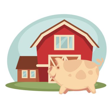 pembe domuz ayakta ahır