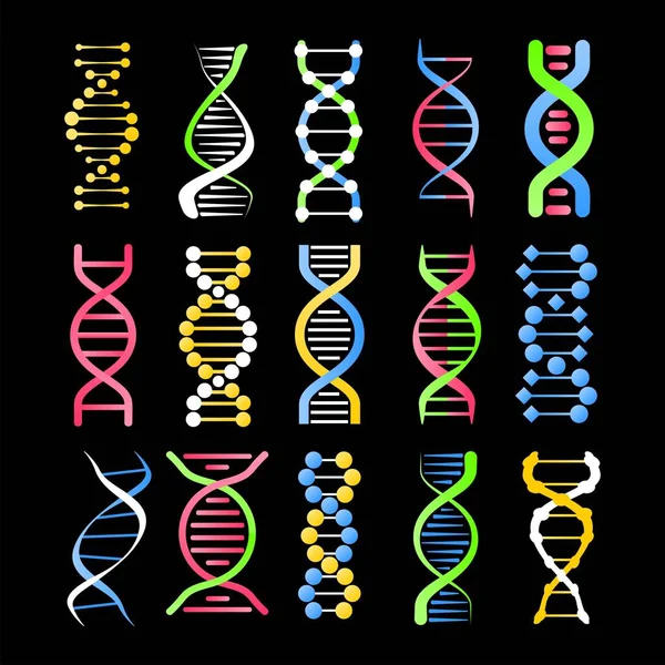 Набор символов спирали ДНК — стоковый вектор