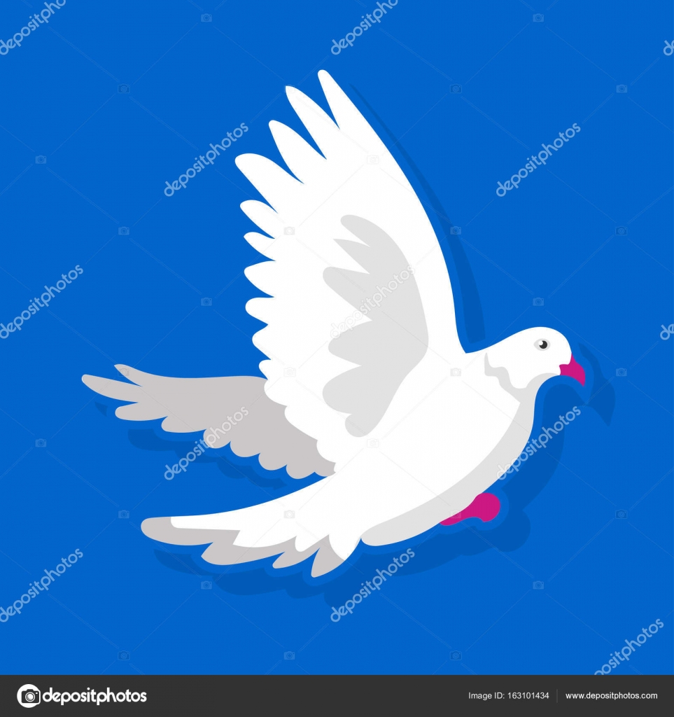 Oiseau Blanc Qui Vole Image Vectorielle Sonulkaster