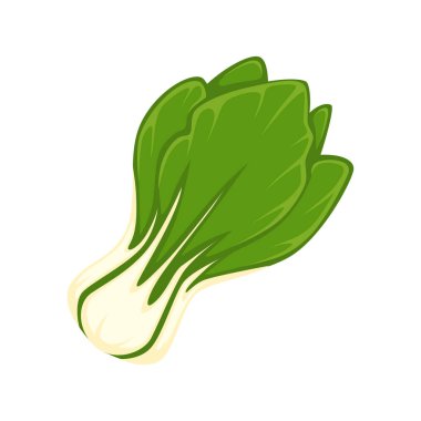 büyük yeşil salata bitki 