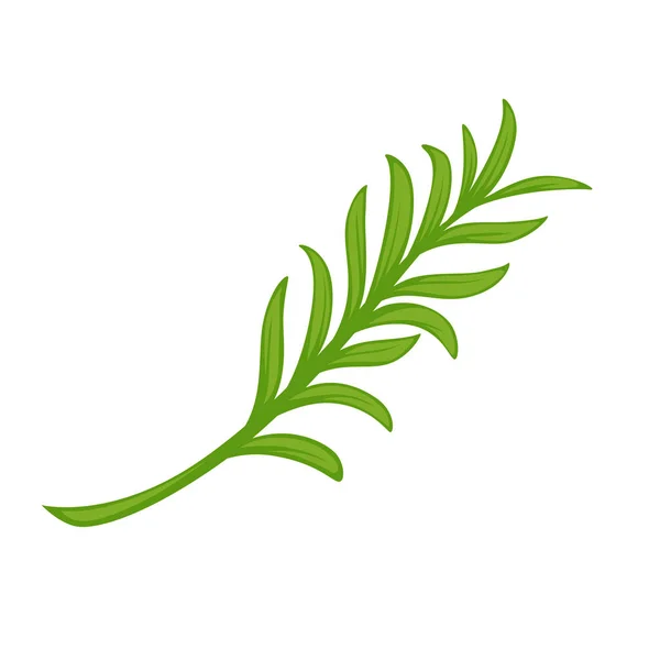 Rama con hojas verdes — Vector de stock