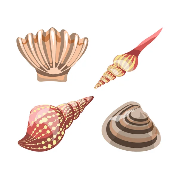 Seashell elementen voor decoratie aquaria — Stockvector