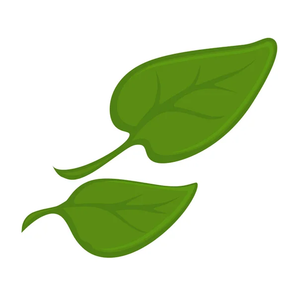 Zwei grüne kleine Blätter — Stockvektor