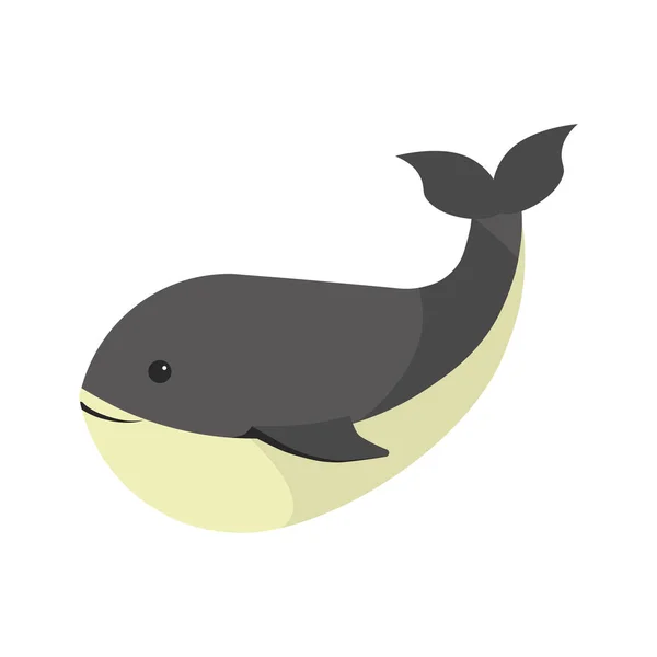 Μεγάλη φάλαινα με λευκό στομάχι — Διανυσματικό Αρχείο