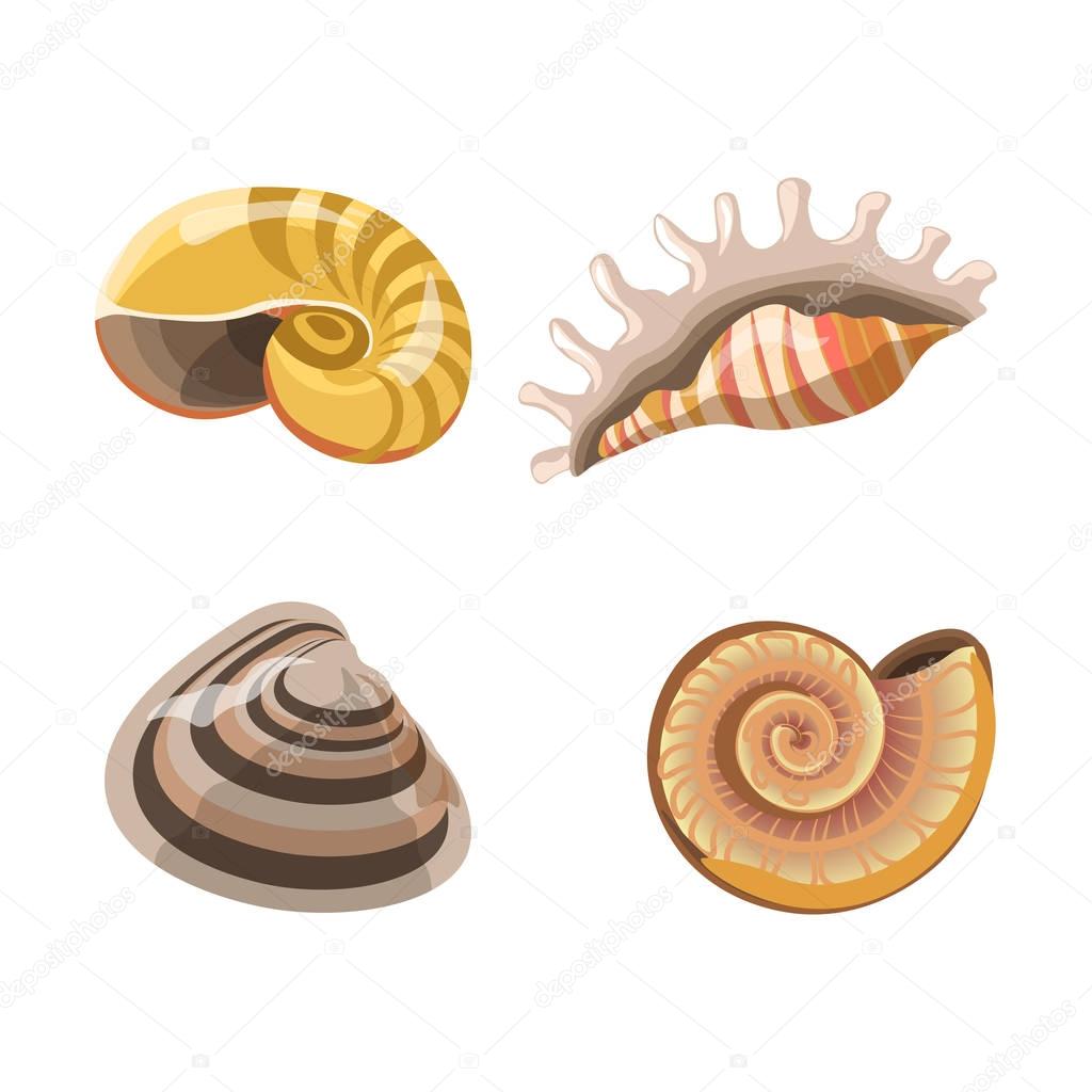 Shells or seashells isolated icons