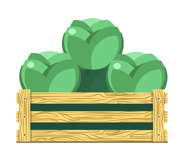 Lommerrijke groene kool — Stockvector