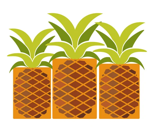 Тропические спелые ананасы с длинными листьями — стоковый вектор