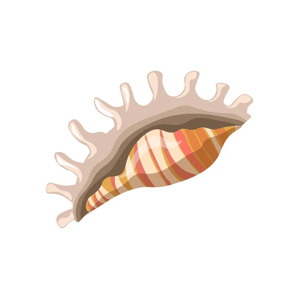 Underwater beautiful shell — Stock Vector