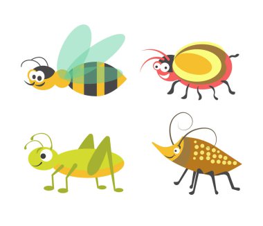 Beyaz dostu çizgili arı