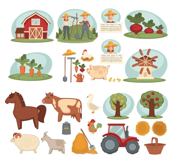 Set icone contadino — Vettoriale Stock