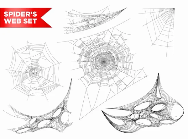 Spiderweb eller spindelnät — Stock vektor