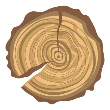 Ormanda yüzük vektör