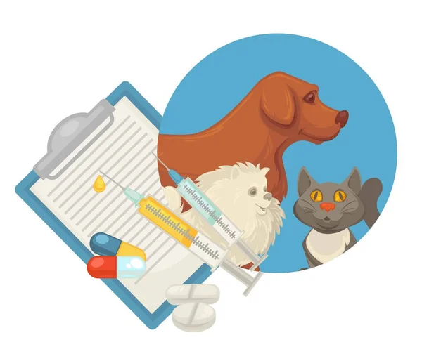 Pet vet vector icon — Stock Vector