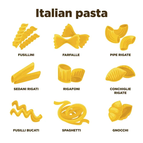 Set de tipos de pasta italiana — Vector de stock