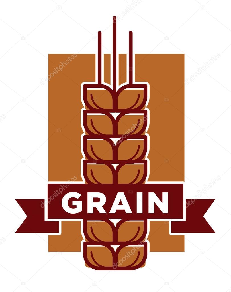 Whole grain natural product promotional emblem with ripe spikes isolated cartoon vector illustration on white background.