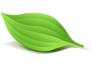 Gerçekçi yeşil Lea