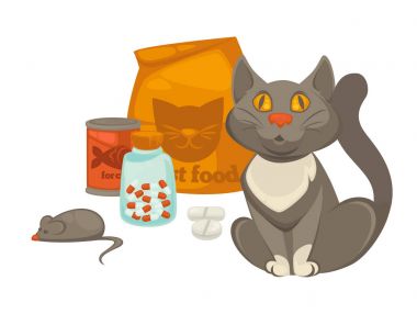 Kedi aksesuar seti. 